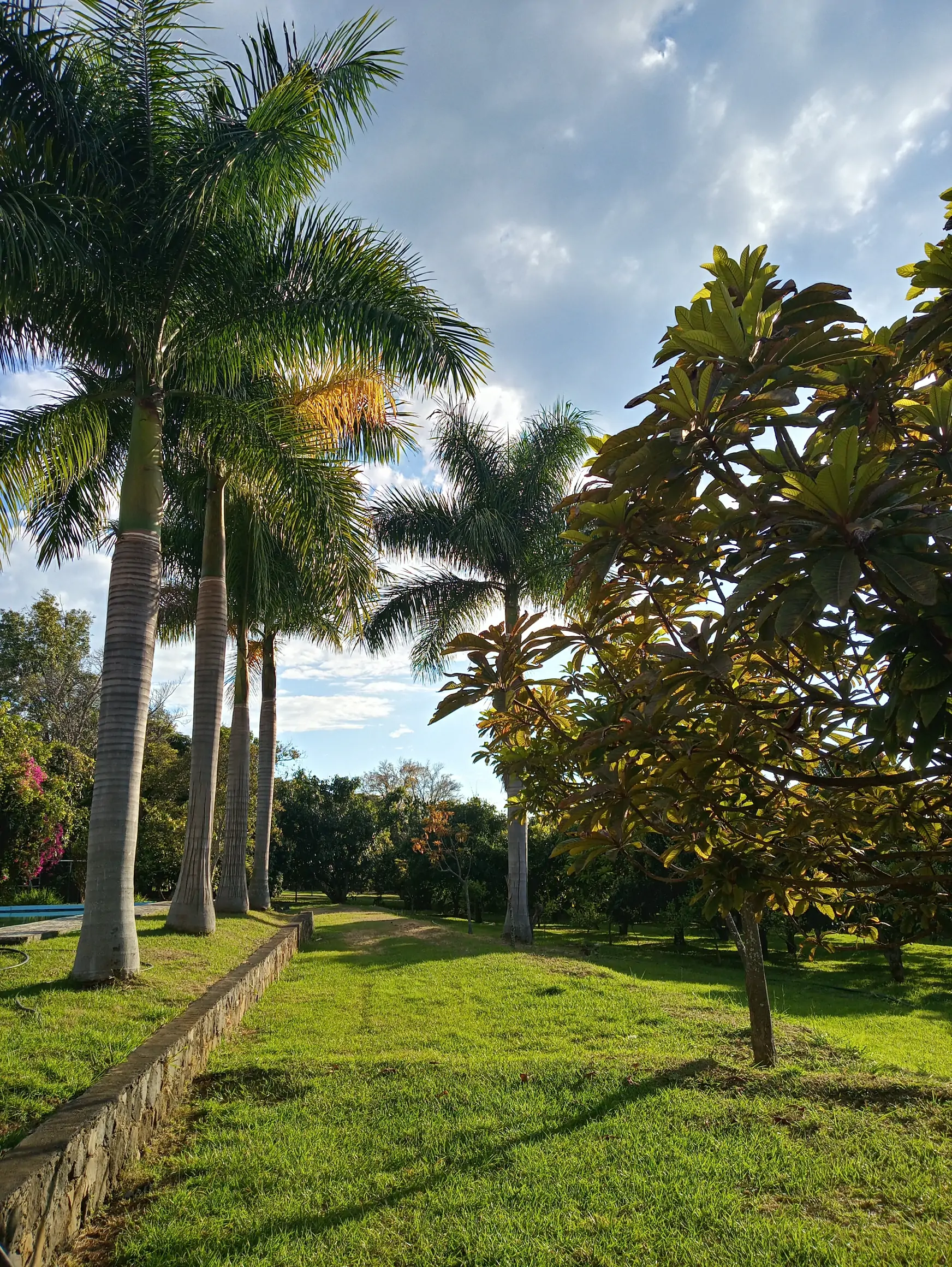 Saliendo del trabajo